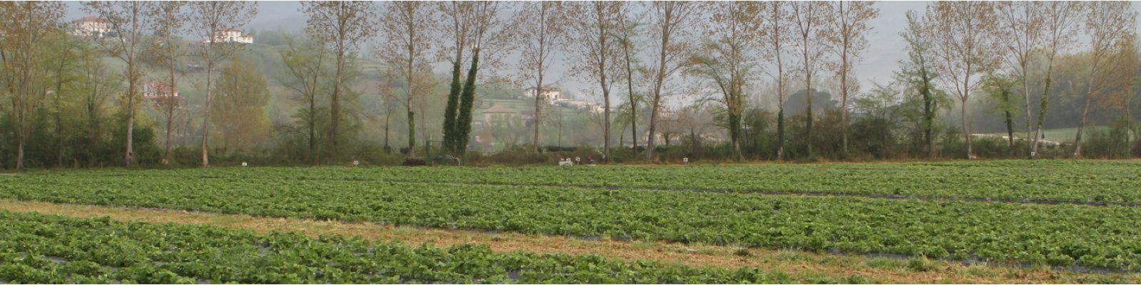 3 - le_nostre_terre3